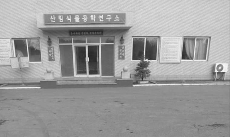 Lokacija potomke najstarejše trte v Pyongyangu