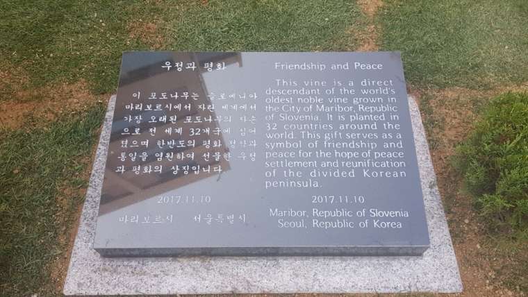 Ceremonija zasaditve potomke najstarejše trte v Seulu3