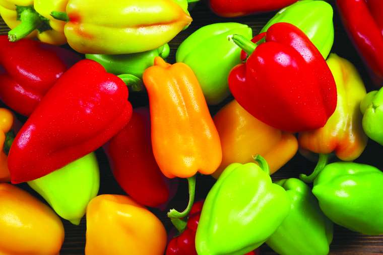 Veliko vitamina C vsebuje zelena in rdeča paprika.