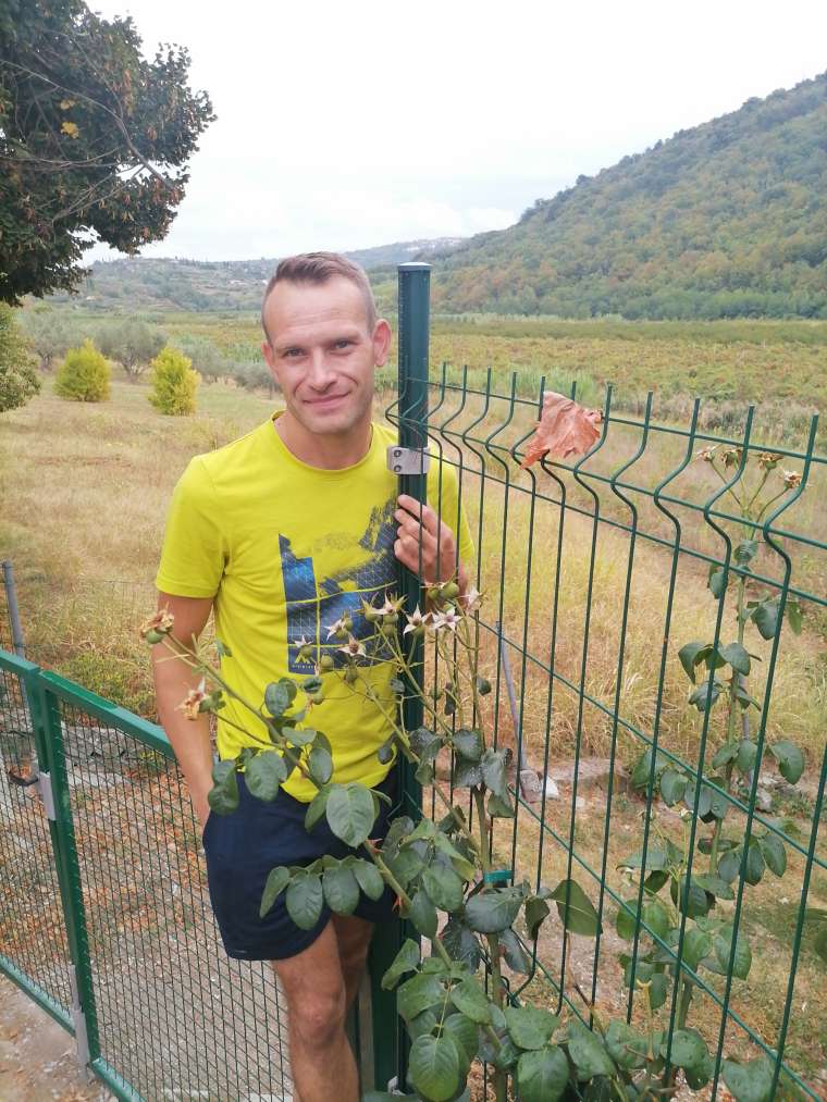 david krulcic