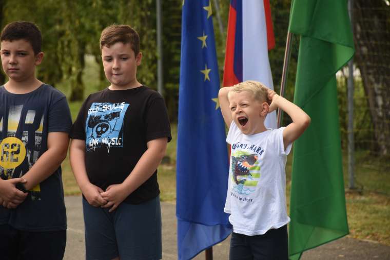 jelše–veliki-podlog