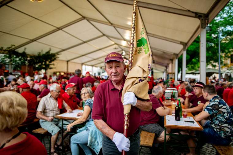 festival-cvička