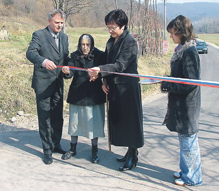 kot_pri_damlju_cesta.jpg