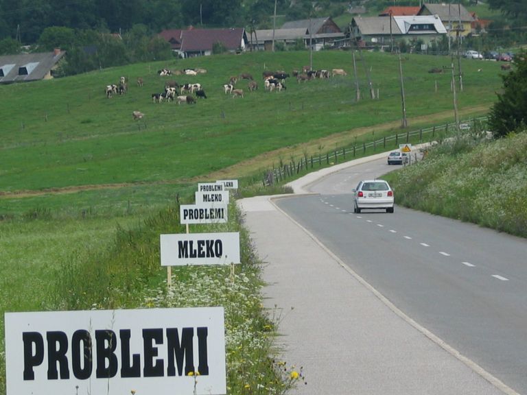 problemi_mleko_jpg.jpg