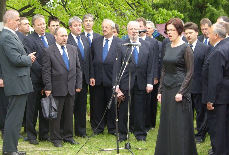 javorzbor.jpg