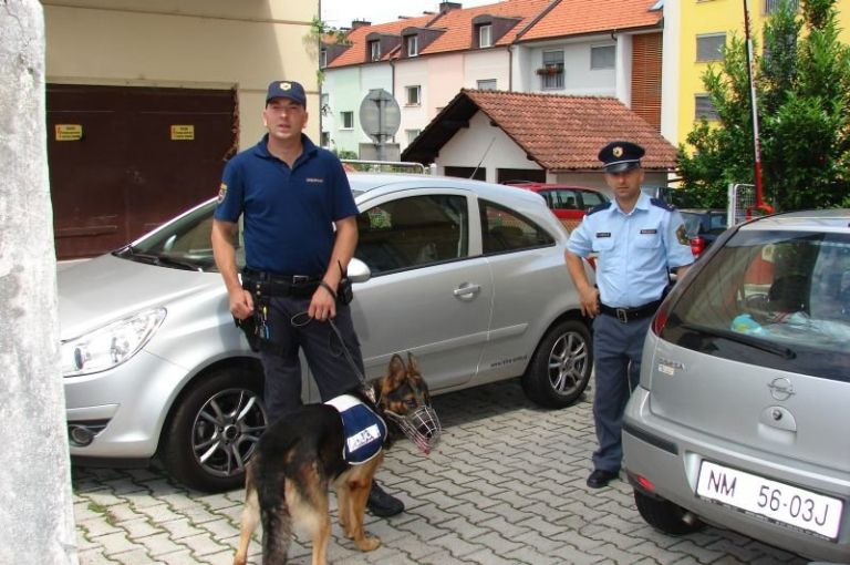 policaij.jpg