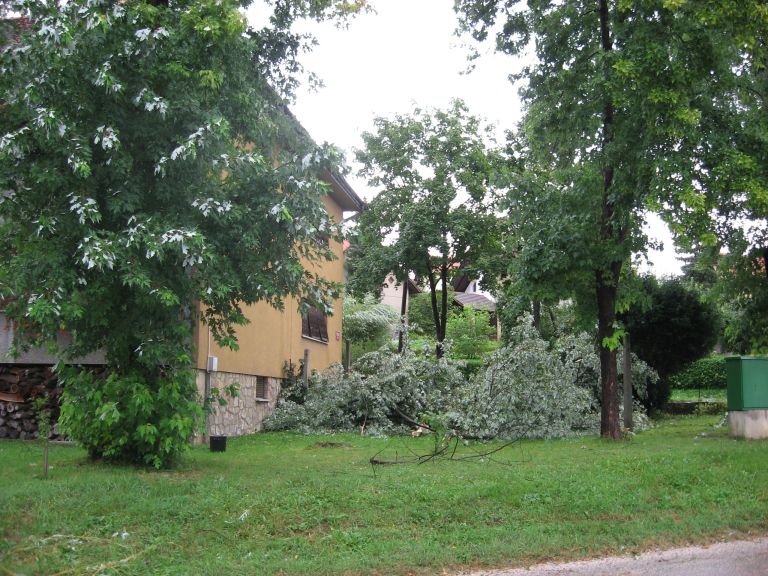img_5903.jpg