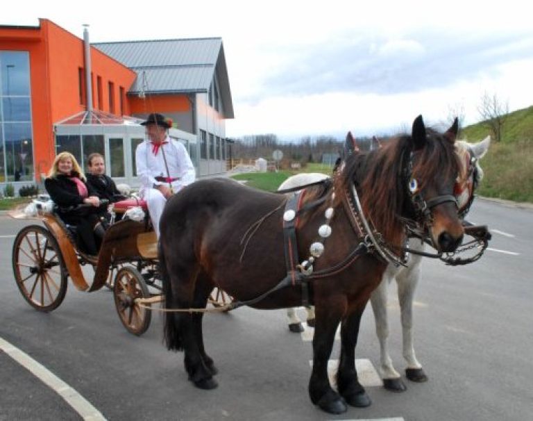 renata_brunskole_in_mag__gregor_ficko_sta_se_po_novem_kro__i____u_zapeljala_s_ko__ijo_.jpg