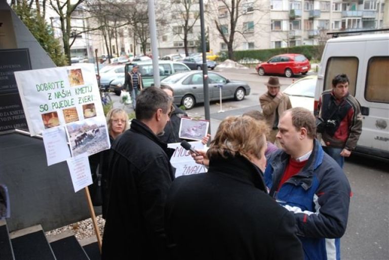 zveri_str_sd_058.jpg