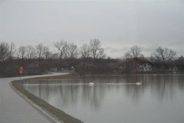 slika_006.jpg
