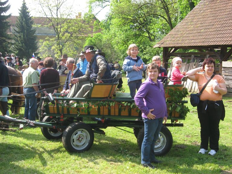 img_8213.jpg