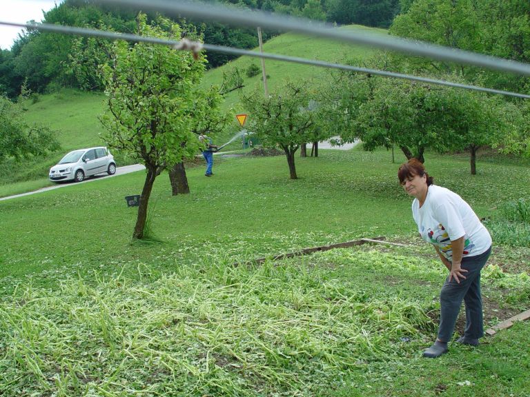 dsc04075.jpg