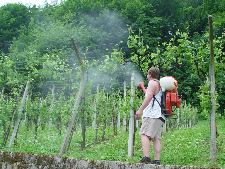 dsc04061.jpg