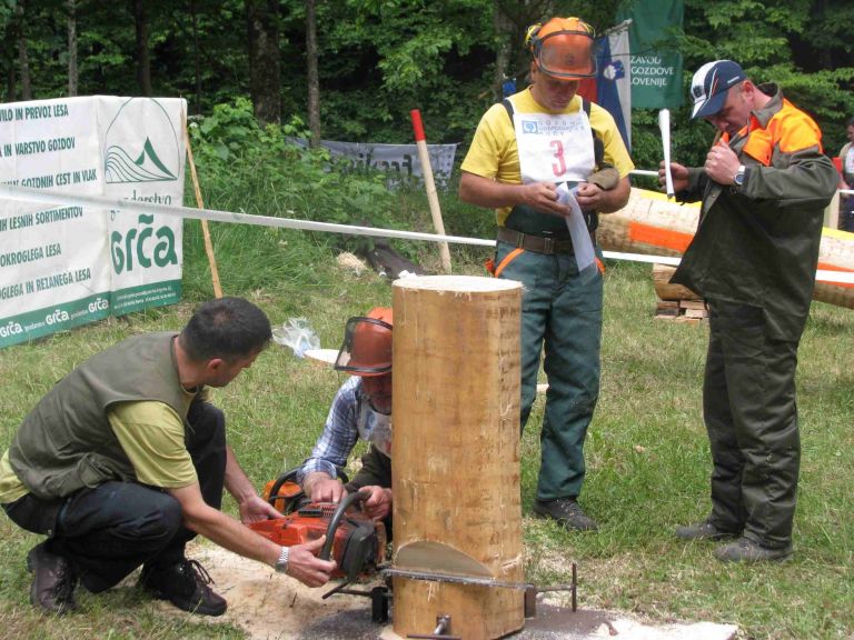 izbirno_sekasko_tekmovanje_internet.jpg