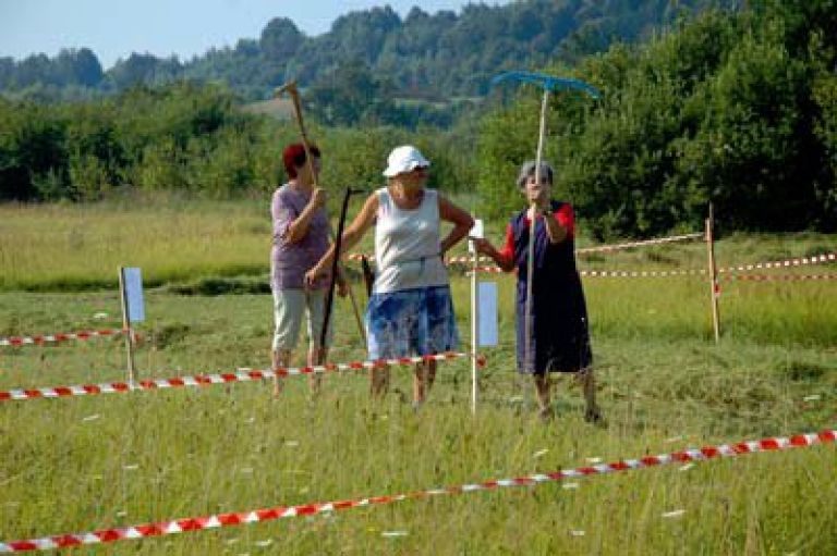 lugi08_2.jpg