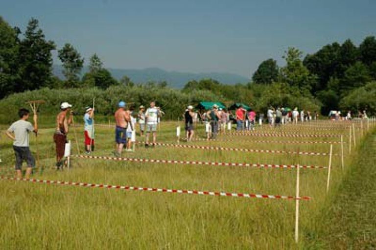 lugi08_1.jpg