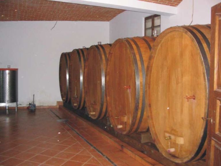 vinotrs04_velika.jpg