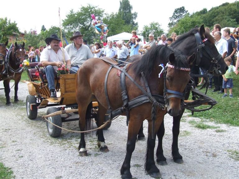 _egnanje_arti_e2009_03.jpg