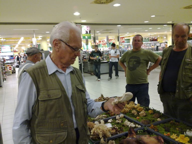 alojz_boh_dr__i_v_roki_najbolj_zdravilno_gobo.jpg