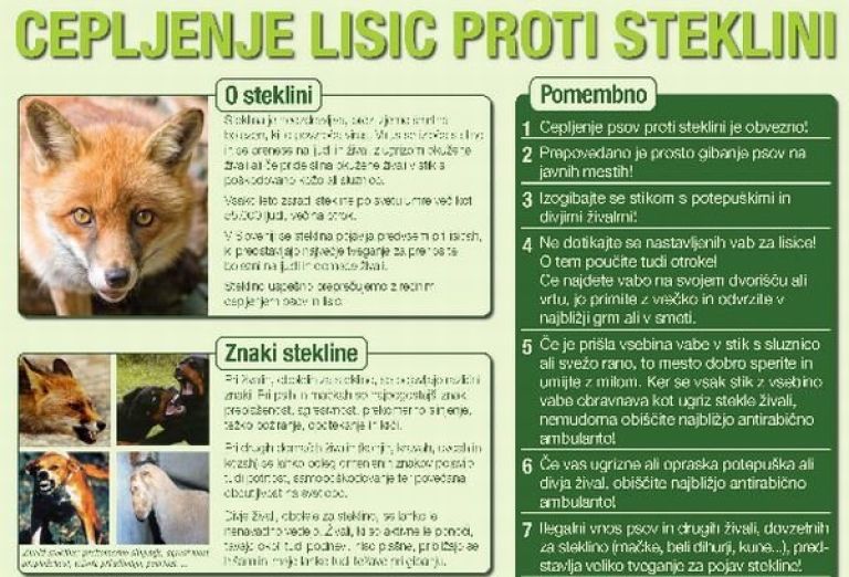 steklina.jpg