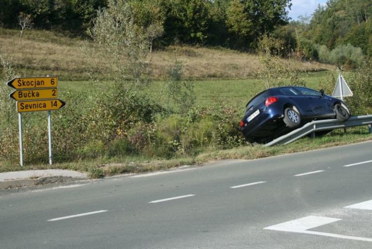 auris_zajahal_odbojno_ograjo.jpg