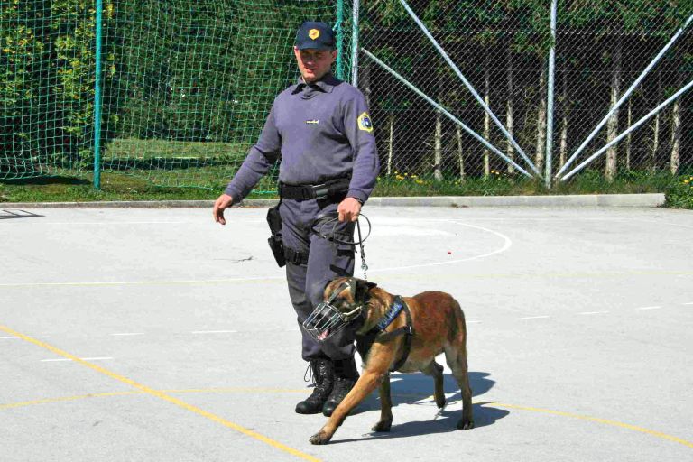 policijski_pes_z_vodnikom.jpg