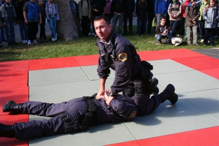 policija_arest_arhiv_tjg.jpg