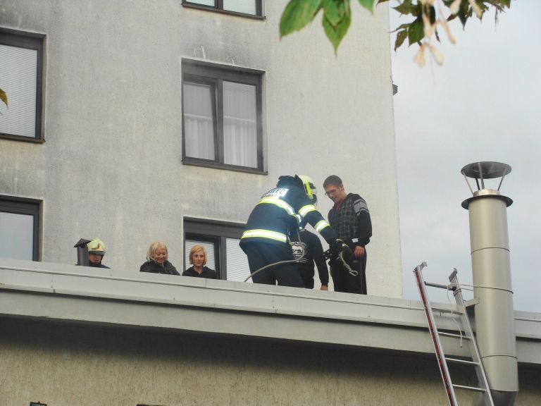 gasilska_vaja_dijaski_dom.jpg