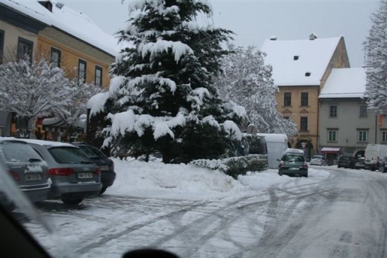 img_2550_000.jpg