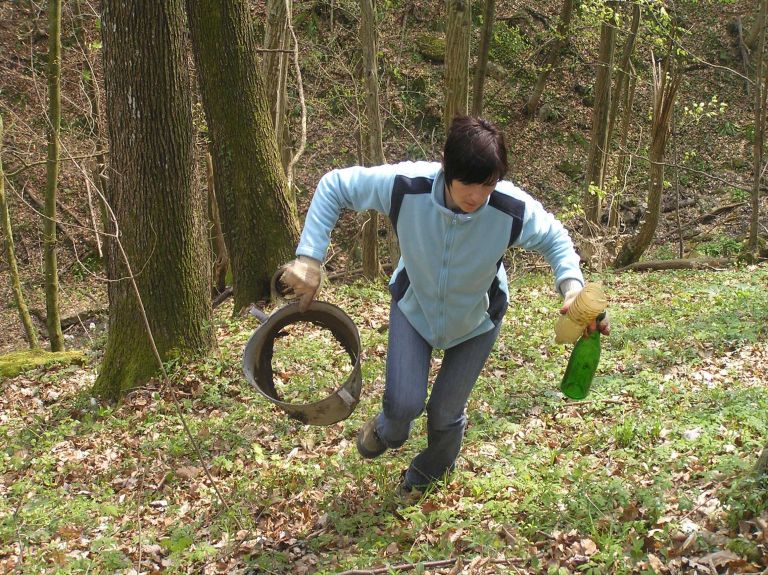cistilna_sevnica_v_gozdovih.jpg