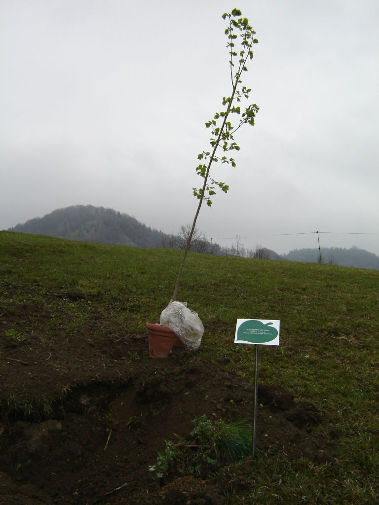 dsc03950_000.jpg