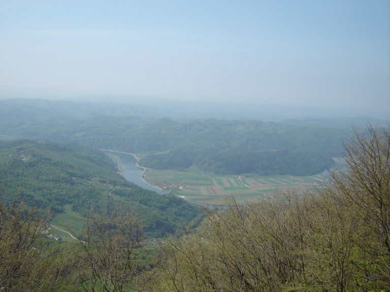 dsc04131_000.jpg