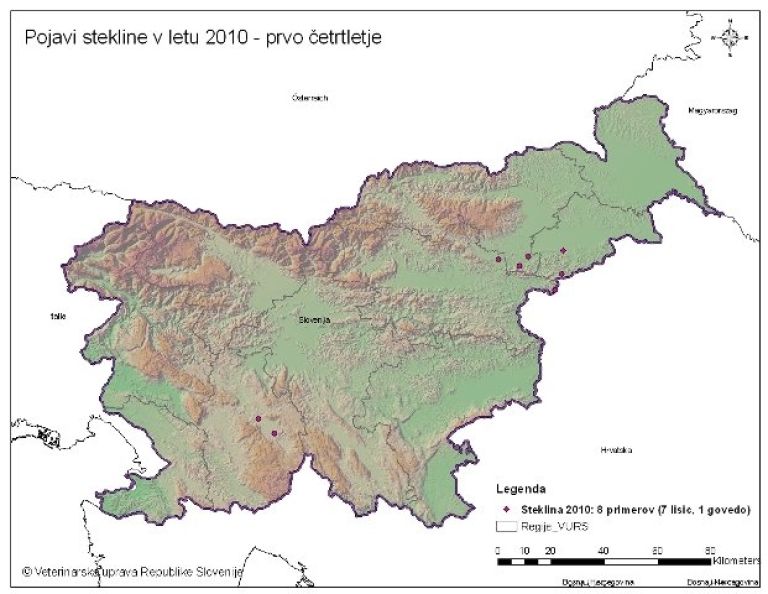 steklina2010.jpg