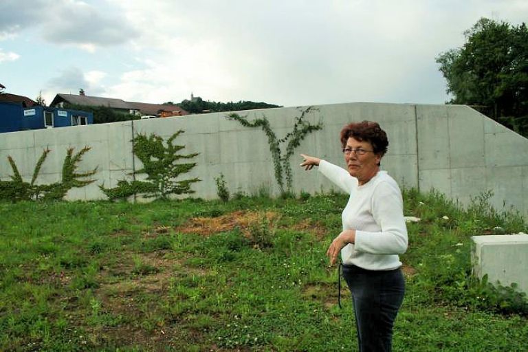 stefanija_colner_je_sama_zasadila_plezalke.jpg