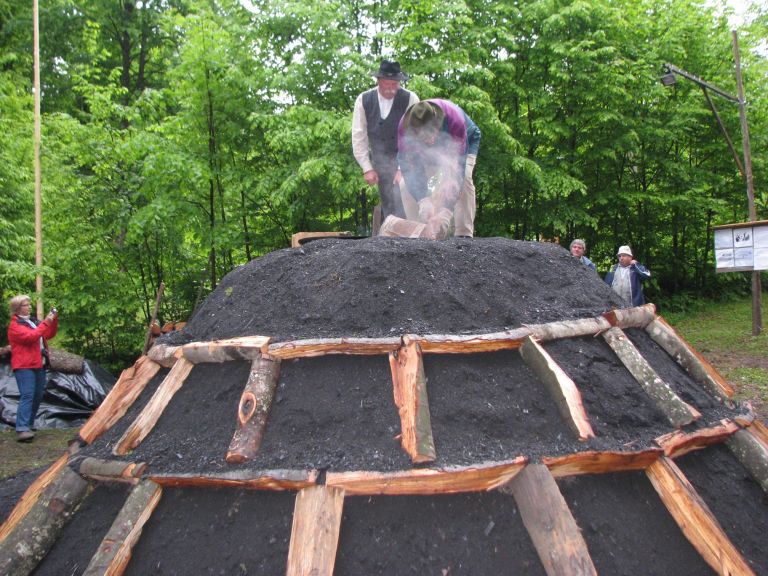 teden_gozdov_prizig_kope_maj_2010.jpg