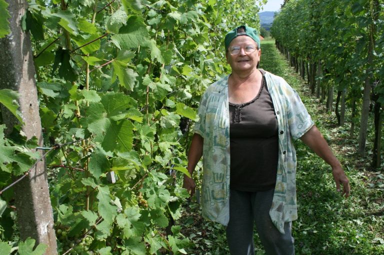 antonija_skof_v_vinogardi_v_szarritrai_vasi.jpg