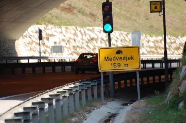 medvedjek_0001.jpg