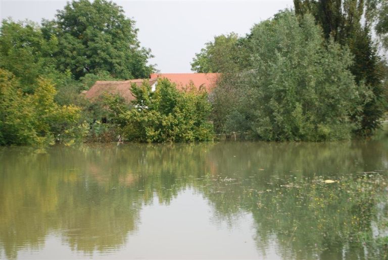 dsc_0020_000.jpg