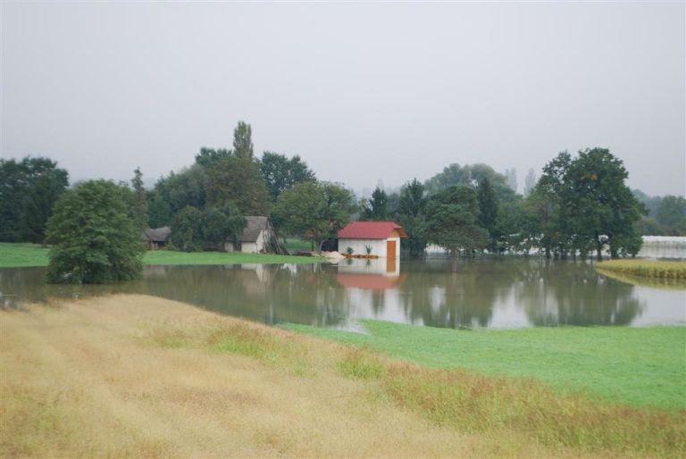 dsc_0014_000.jpg