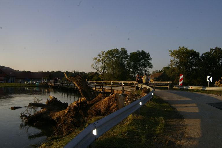 _igp5179.jpg