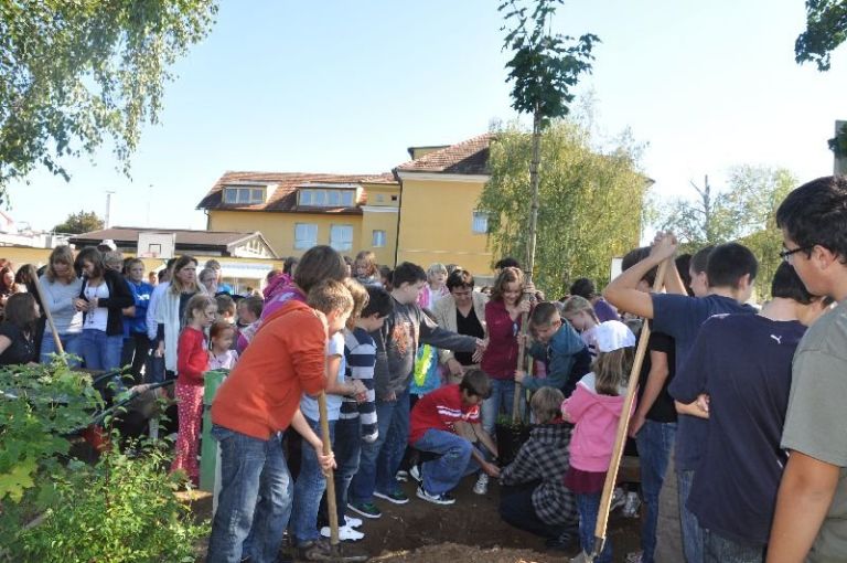 zasaditev_javorja21__9_10_014.jpg