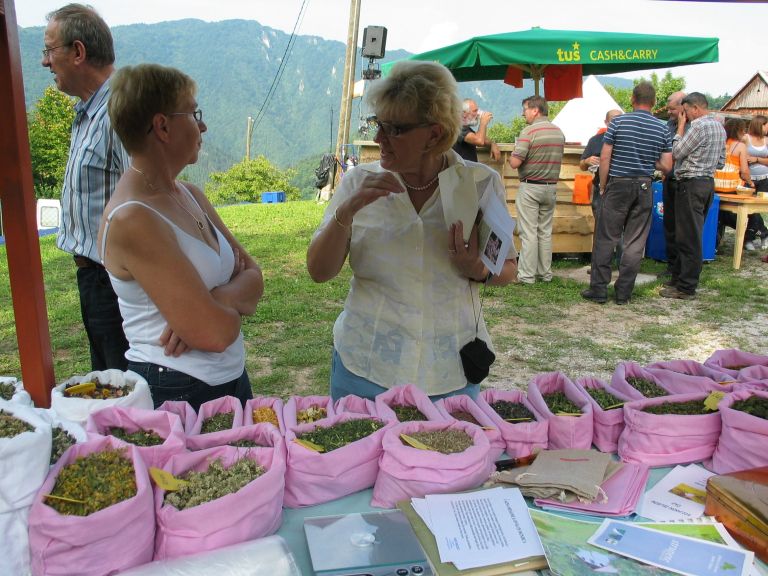 svibno_20100046.jpg
