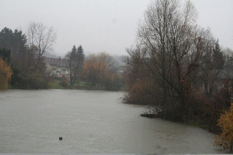 vesnai0001.jpg
