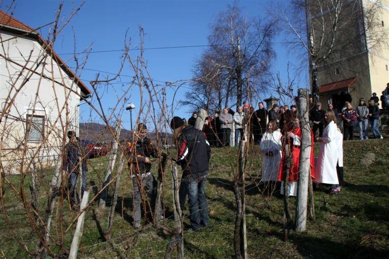 vincekovo_2011_34.jpg
