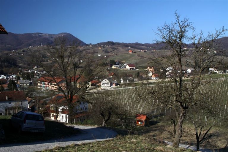vincekovo_2011_08.jpg