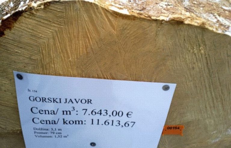 smuk_13.jpg