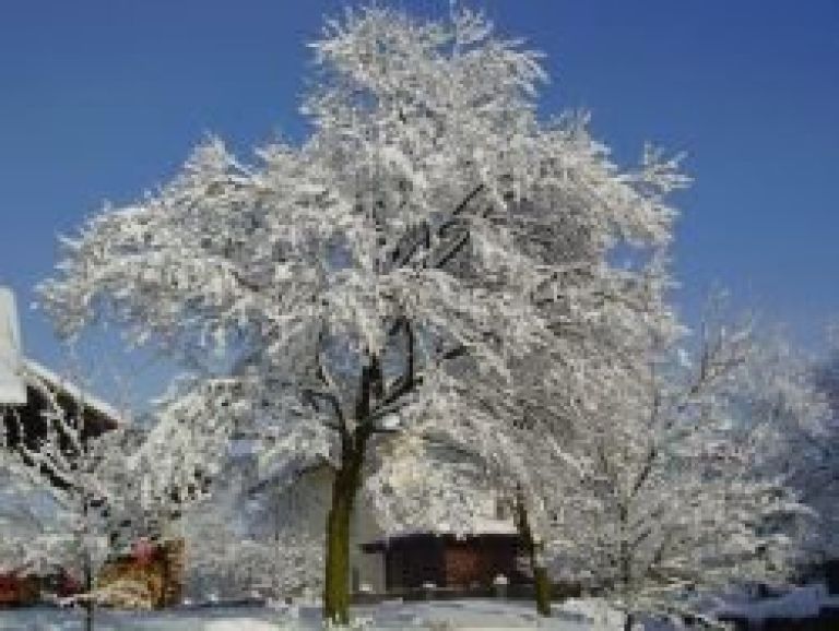 idila_094.jpg