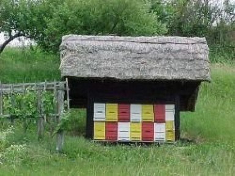 cebelnjak.jpg