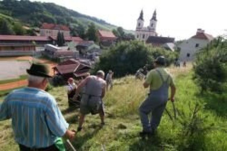 fotogr274022.jpg