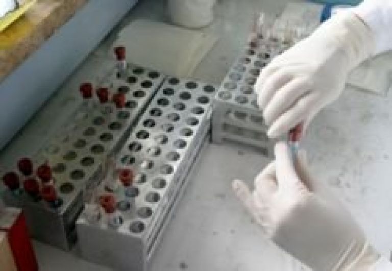 lab.jpg